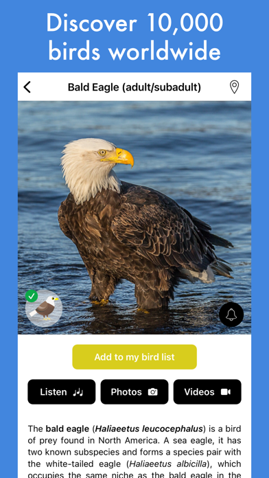 Smart Bird ID Screenshot