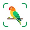 BirdAiSnap-Bird Identify icon