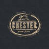 Chester - Ресторан Честер icon