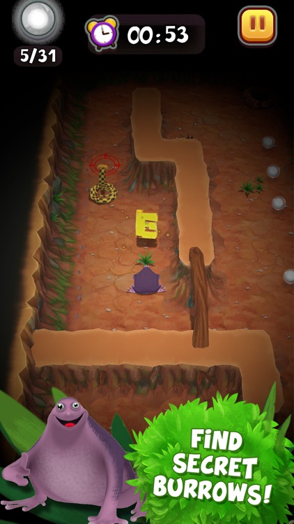 Save the Purple Frog Game