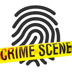 Crime Scenes