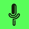 DemoVoice icon