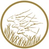 BEAC NG2020