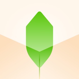 新枝：信息收藏·订阅·稍后读·高亮批注 All in One