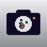 Tamapic - App-Symbol
