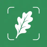 NatureLog - Plant Identifier