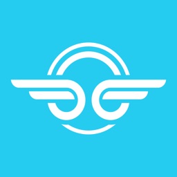 Bird — Soyez libre, bon voyage