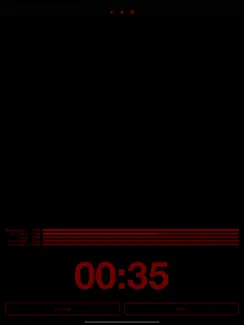 Massive Dev Chart Timer iPad image 2