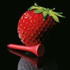 Strawberry Tour - Die Tour App icon