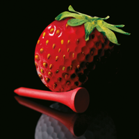 Strawberry Tour - Die Tour App