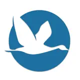 InterNations - App Icon