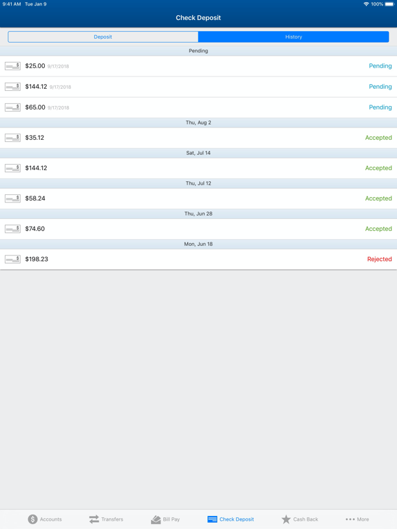 Old National Mobile iPad screenshot