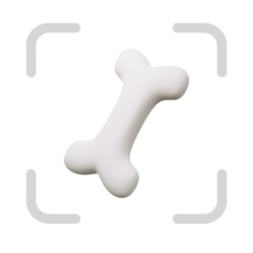 Bone Identifier: AI Scanner
