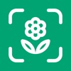Planto: Plant Identifier icon