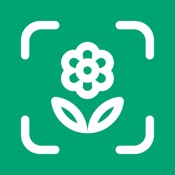 Planto: Plant Identifier