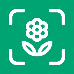 Planto: Plante Reconnaissance