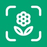 Get Planto: Plant Identifier for iOS, iPhone, iPad Aso Report
