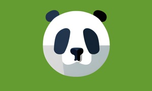 DLPlay