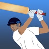 cricket batsman icon