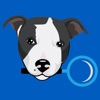Find Pet Owner icon