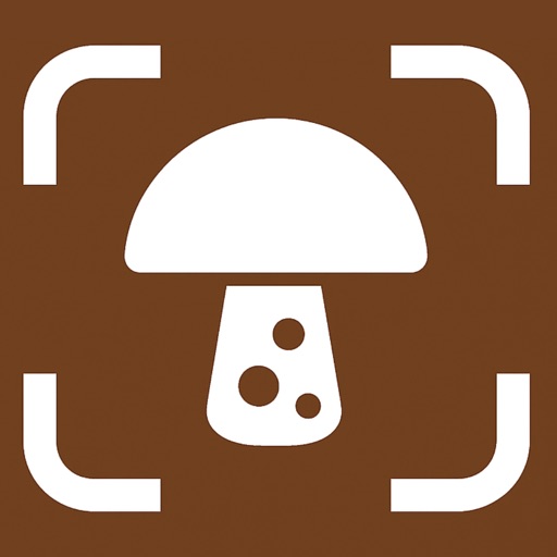 Mushroom Identifier: Mycelia
