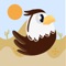 Join Eagle as he embarks on an endless desert adventure