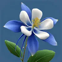 BloomEDU: Wildflower ID & Quiz