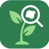 Plant Disease Identifier: Scan icon
