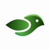 Birdly icon