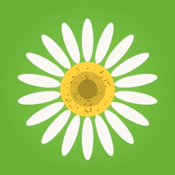 DaisyFal