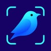 Bird Identifier: AI Bird ID icon