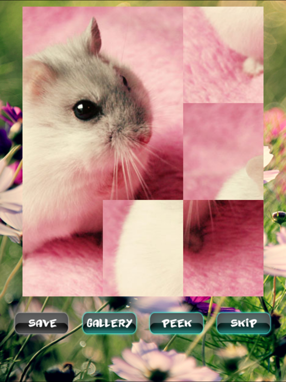 Screenshot #4 pour Hamster Puzzles