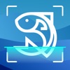 Fish Identification by Picture icon