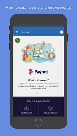 GoPaynet screenshot 2