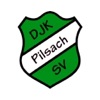 DJK/SV Pilsach icon