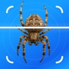 Insect Identifier - BugFlow icon