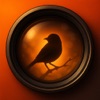 Wild Bird Ledger icon
