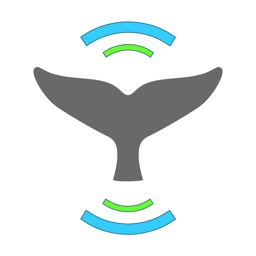 Whale Alert