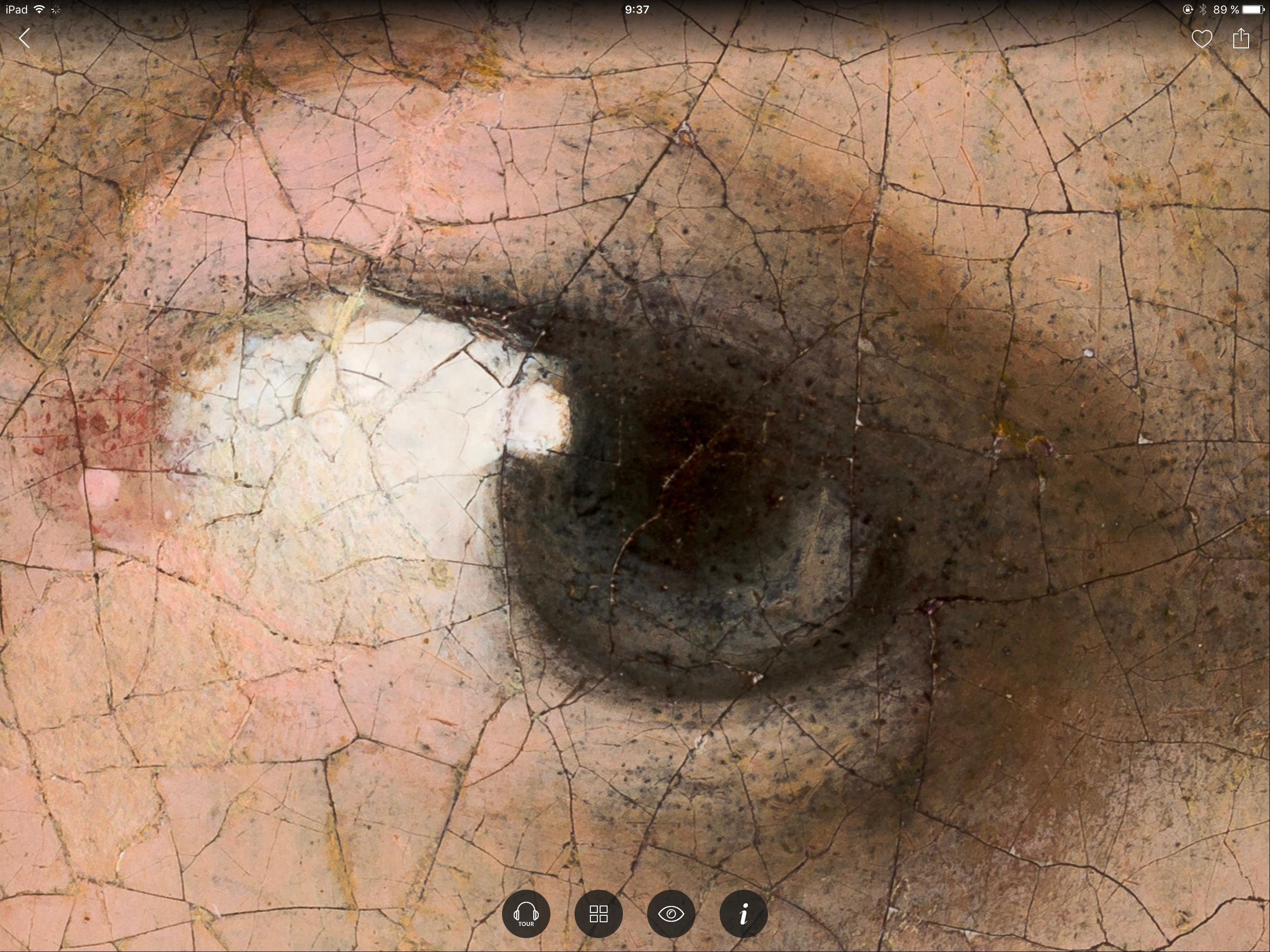 Second Canvas Mauritshuis screenshot 9