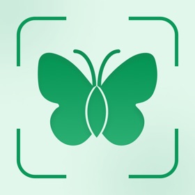 AI Insect Identifier