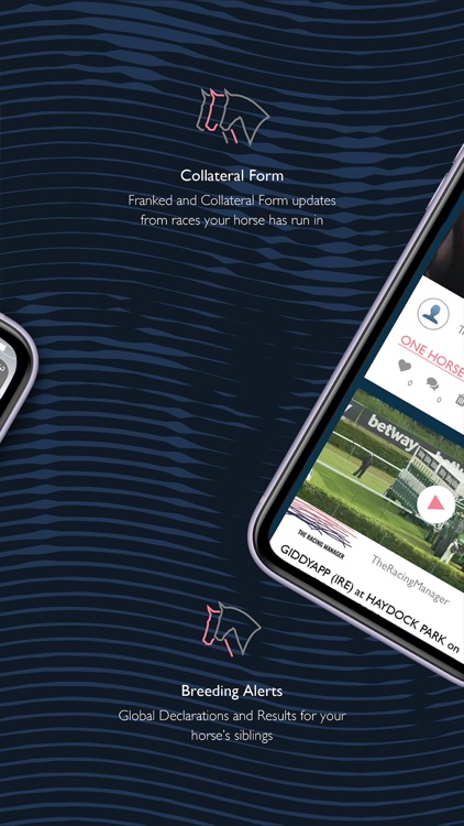 The Racing Manager screenshot-4