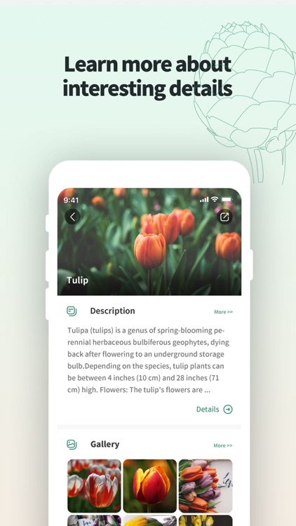SmartScan - All in One Scanner screenshot-4