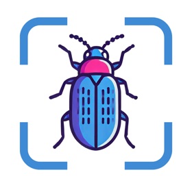 螢幕擷取畫面 (3) Insect Identifier: Picture AI