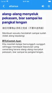 ekamus 马来文字典 malay dictionary iphone screenshot 3