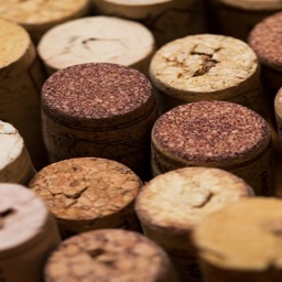 Vino Cellar - My wine cellar