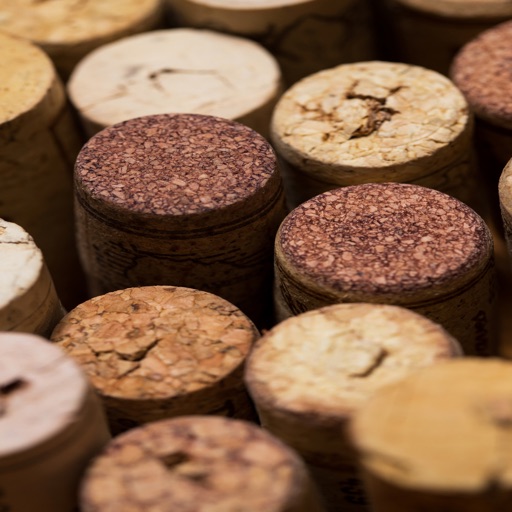 Vino Cellar - My wine cellar