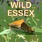 An app for anyone interested in British wildlife, particularly but not only in Essex, and particularly but not only if you record the species you see