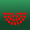 Watermelon+ icon