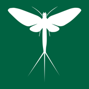 SnapHatch - Fly Fishing Guide