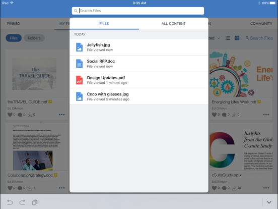 HCL Connections iPad app afbeelding 4